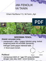 4.senyawa Fenolik Dan Tanin