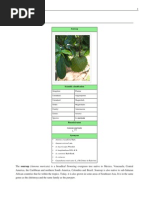 Download Soursop - Graviola - Annona Muricata - Wikipedia by NutriHealerscom SN44511911 doc pdf