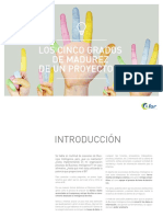 Los Cinco Grados de Madurez de Un Proyecto Bi PDF