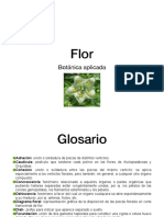 Flor IAC