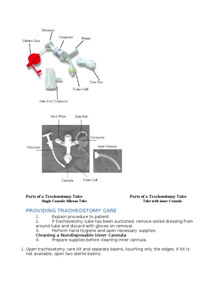 Parts of a Tracheostomy Tube Nature