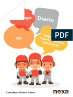 6. Dialogo de Seguridad-Junio  NEXA.pdf