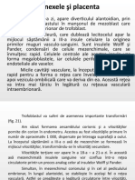 Dezvoltarea Anexelor Embrionare - Formarea Placentei - Circulatia Placentara Si Functiile Placentei - Bariera Placentara