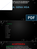 Proiect Gena HGA