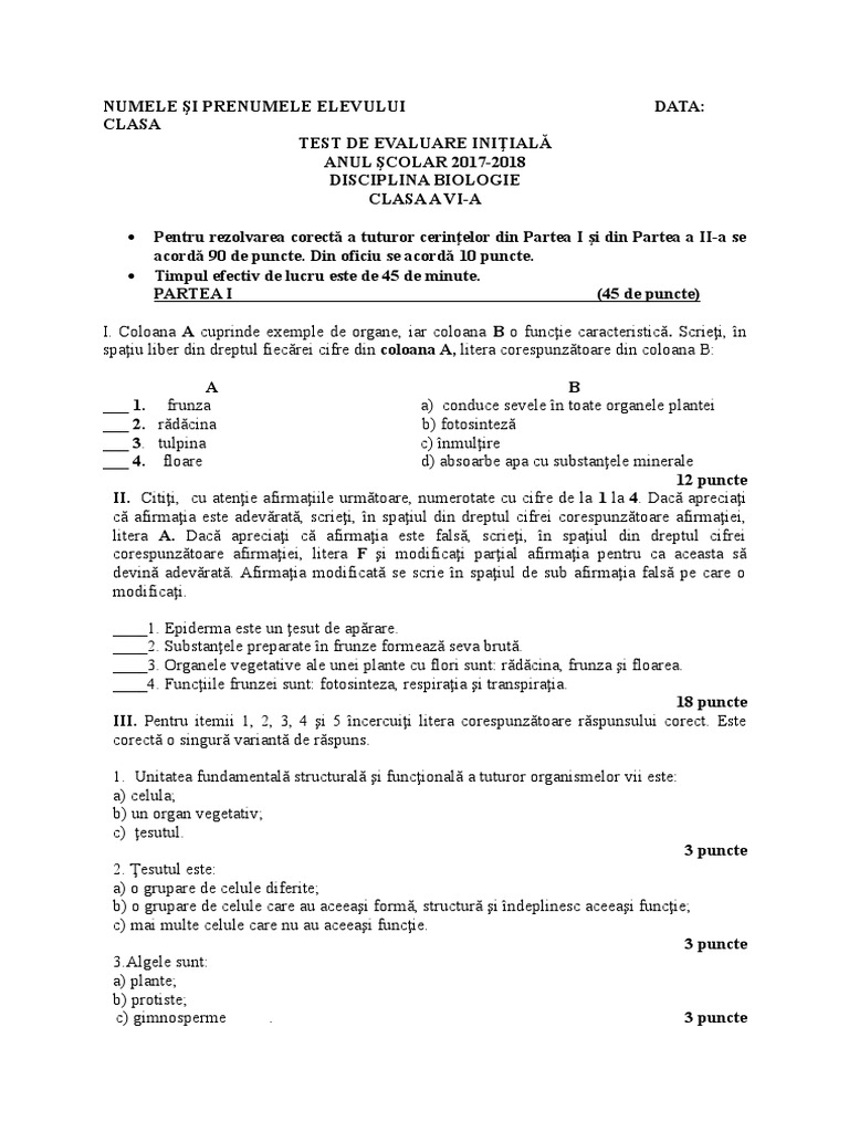 Test Clasa 6 | PDF