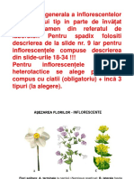 Bio Inflor PDF