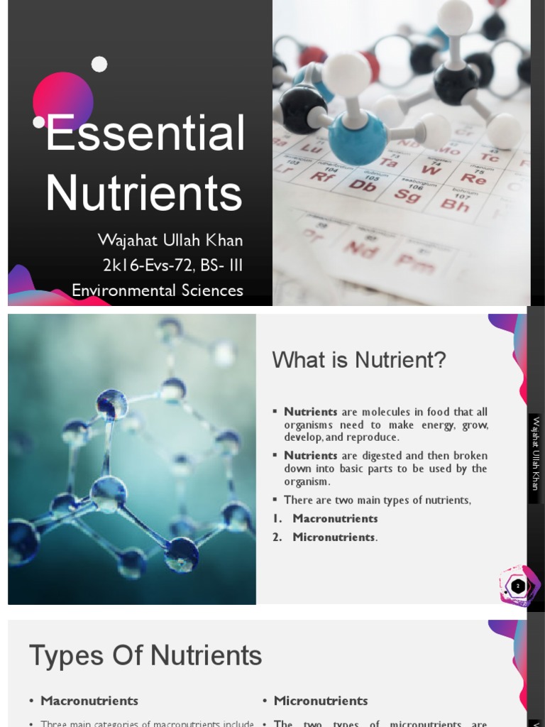 Essential Nutrients PDF PDF Nutrients Photosynthesis