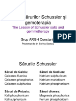 Lectia Sarurilor Schussler PDF