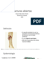 Fracturas Abiertas PDF