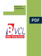 ABOUT BVCL.docx