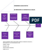 Diagrama Causa Efecto Iacs