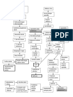 Patofisiologi Apensiditis