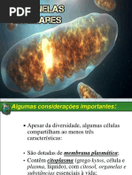 CITOPLASMA E ORGANELAS CITOPLASMÁTICAS
