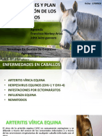 Enfermedades Equinas