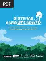 Sistema Agroflorestais: Produção ecológica de alimentos em harmonia com a natureza