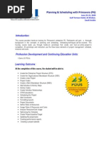 20-24 June 2009 Primavera Workshop Flyer Khobar