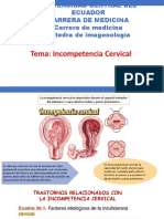 Incompetencia Cervical