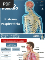 sistema-respiraçao.pdf