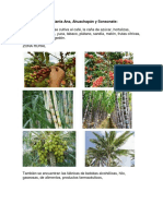 Productividad Por Departamento en El Salvador PDF