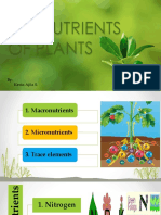 THE NUTRIENTS               OF PLANTS.pptx
