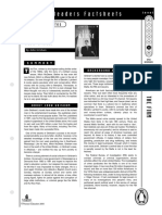 The Firm Factsheet PDF