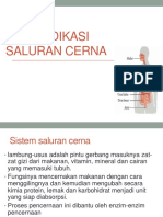 Swamedikasi Saluran Cerna-1