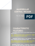 Mandibular Central Incisor: Pro. Dr. Naglaa B. Nagy