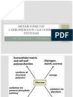 Glicolisis PDF