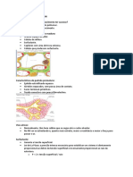 Distúrbios Respiratórios Do RN