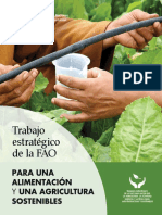 Trabajo estratégico de la FAO PARA UNA ALIMENTACIÓN Y UNA AGRICULTURA SOSTENIBLES