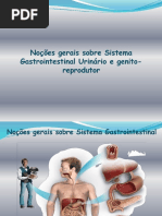 Açores - 6567 - Noções gerais sobre o sistema gastrointestinal. Urinário e genito-reprodutor