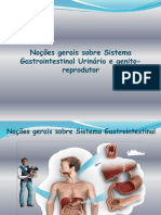 Açores - 6567 - Noções Gerais Sobre o Sistema Gastrointestinal. Urinário e Genito-Reprodutor