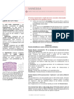 Dermis.pdf