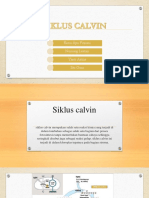 Siklus Calvin1