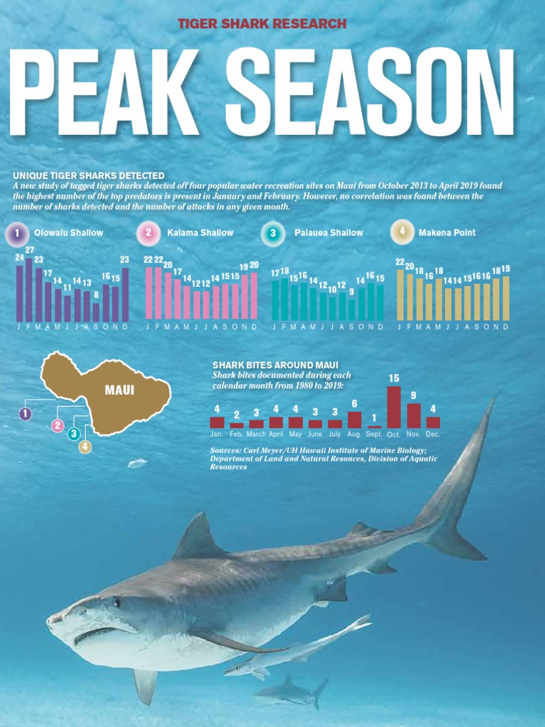 Tiger Shark Research | PDF | Maui | Sharks