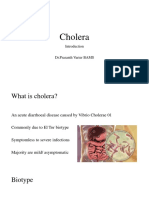Introduction To Cholera
