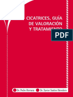 Libro_cicatrizacion_baja.pdf