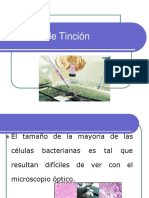 Técnicas de Tinción 