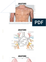 HEMOPTISIS - PPTX 1