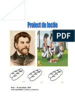 Proiect Ora Deschisa