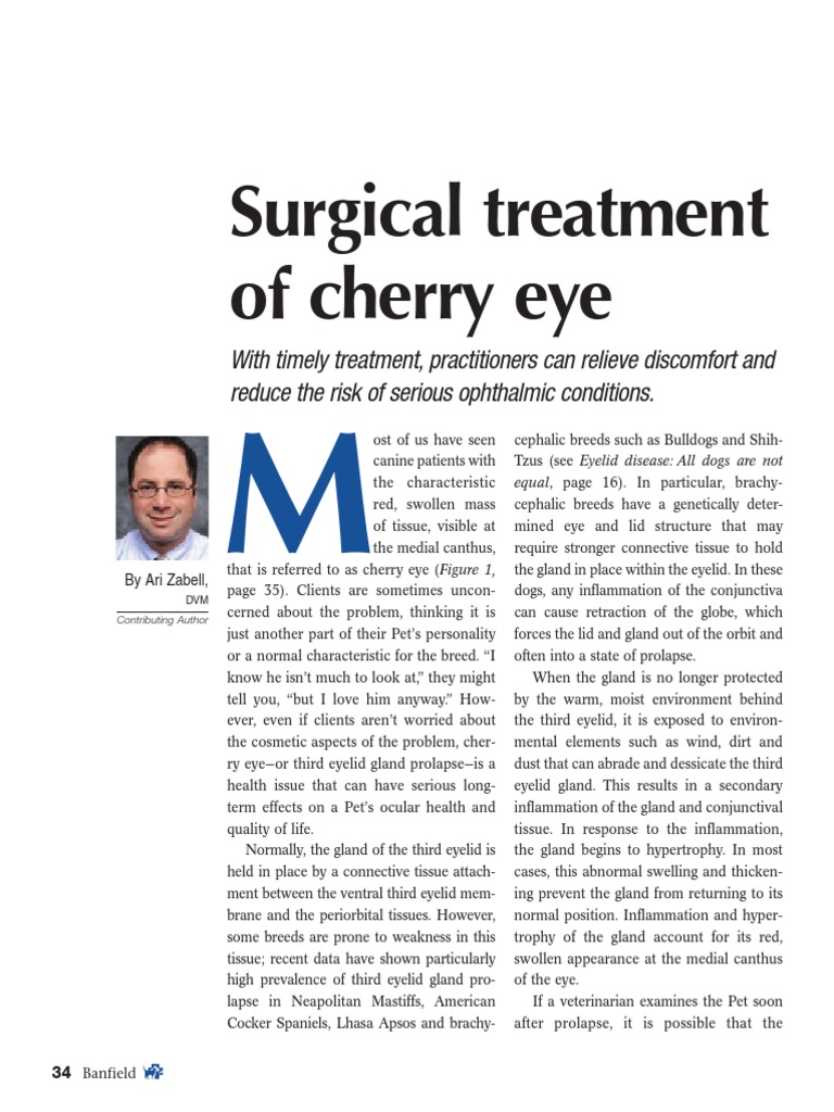 3 4 Surgical Treatment of Cherry Eye PDF Surgery Ophthalmology