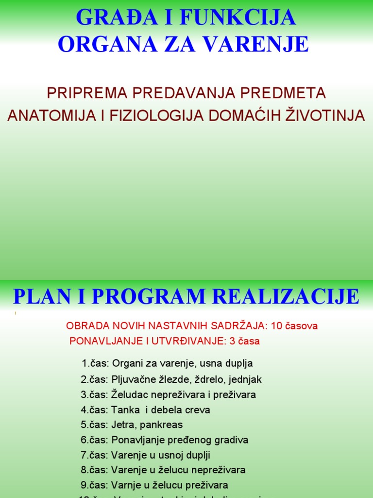 Gradja I Funkcija Organa Za Varenje | PDF