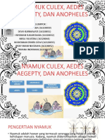 PPT Nyamuk 1