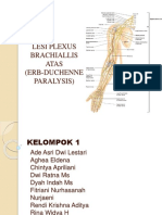 Lesi Plexus Brachiallis Atas Erb Paralysis-1