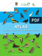 Atlasul Pasarilor de Interes Comunitar d