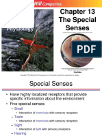 S Chapter 13 Special Senses.pdf