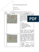 LAPORAN PRAKTIKUM HEMATOLOGI