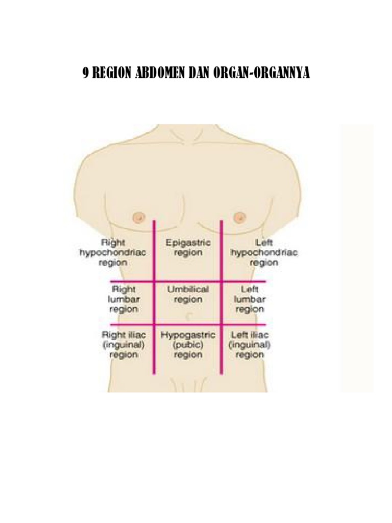 9 Region Abdomen dan Organ Terkait | PDF
