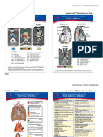 IASLC+Staging+Reference+Cards+8th+Edition Final CONFIDENTIAL