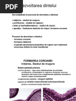 Planeta Pitica